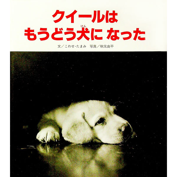 【中古】クイールはもうどう犬になった / 秋元良平 (単行本)