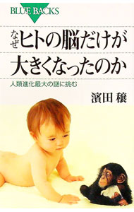 &nbsp;&nbsp;&nbsp; なぜヒトの脳だけが大きくなったのか 新書 の詳細 脳がそれほど有用な器官であったのなら、なぜ他の動物では発達しなかったのか？　脳が大きくなるために、ヒトにはどんな変化が起こったのか？　霊長類の形態比較を研究する著者が、全く新しい視点からこの難問に挑みます。 カテゴリ: 中古本 ジャンル: 産業・学術・歴史 生物学 出版社: 講談社 レーベル: ブルーバックス 作者: 浜田穣 カナ: ナゼヒトノノウダケガオオキクナッタノカ / ハマダユズル サイズ: 新書 ISBN: 9784062575409 発売日: 2007/01/01 関連商品リンク : 浜田穣 講談社 ブルーバックス