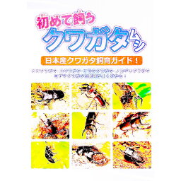 【中古】初めて飼うクワガタムシ / むし社