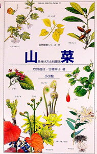 Botany - 【中古】山菜　見分け方と料理法 / 牧野晩成／甘糟幸子