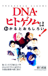 【中古】DNA・ヒトゲノムはわかるとおもしろい！ / 野口哲典