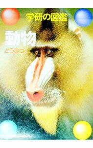 乐天商城 - 【中古】動物 / (単行本)