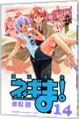 【中古】魔法先生ネギま！ 14/ 赤松健
