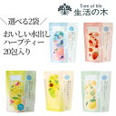 【ポイント3倍!】 【20包×2袋】 生活の木 ハーブティー 水出 アイス おいしいハーブティー ノンカフェイン デカフェ 妊娠中 授乳中 ティーパック 全5種類 水出し ももと青色バタフライピー 塩とグレープフルーツ