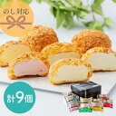母の日 手土産 銀座千疋屋 銀座プレミアムシューアイス 詰め合わせ 計9個 のし 熨斗 ギフト 有名 美味しい 贈り物 子供 ギフト直送 手土産 果物 フルーツ...