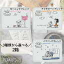 INIC coffee イニックコーヒー 選べる2箱 計12本 スヌーピー デイリーアソート 御中元 アイスコーヒー プレゼント スティックコーヒー コーヒースティック ギフト プチギフト 贈り物 スヌーピーコーヒー 美味しい