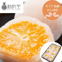 【ポイント3倍!】 岐阜「新杵堂」 まるごとみかん大福 8個 のし 新杵堂 熨斗 ギフト ラッピング 有名 美味しい 贈り物 子供 ギフト直送 手土産 焼菓子 ...