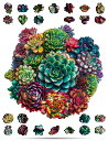 CRAFTHUB 木製ジグソーパズル - マンダラ多肉植物 - 大人と子供のための木製パズル - ユニークな木の形、家族ゲーム、大人の誕生日、女性と男性のための...