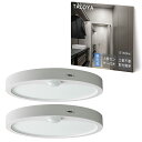 TALOYA LED 人感センサーライト 4畳 6畳 薄型 省エネ 明暗センサー 玄関 階段 廊下 脱衣所 キッチン トイレ 防犯/防災ライト 工事不要 メーカー5年保証(4-6畳 2160lm 昼光色 二個入り, 人感センサーライト)