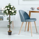 BestBuy 人工観葉植物 白いバラ 高さ120cm フェイクグリーン 水やり不要 肥料不要 枯れない インテリア装飾 造花 おしゃれ フェイクツリー (白いバラ)