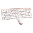 iClever キーボード ワイヤレス キーボード マウスセット 日本語配列 静音 超薄型 無線 2.4G キーボード・マウスセット USB接続 キーボードType-C充電式 フルサイズ テンキー付き マウス3段階DPI パソコン PC多機能対応 Wind