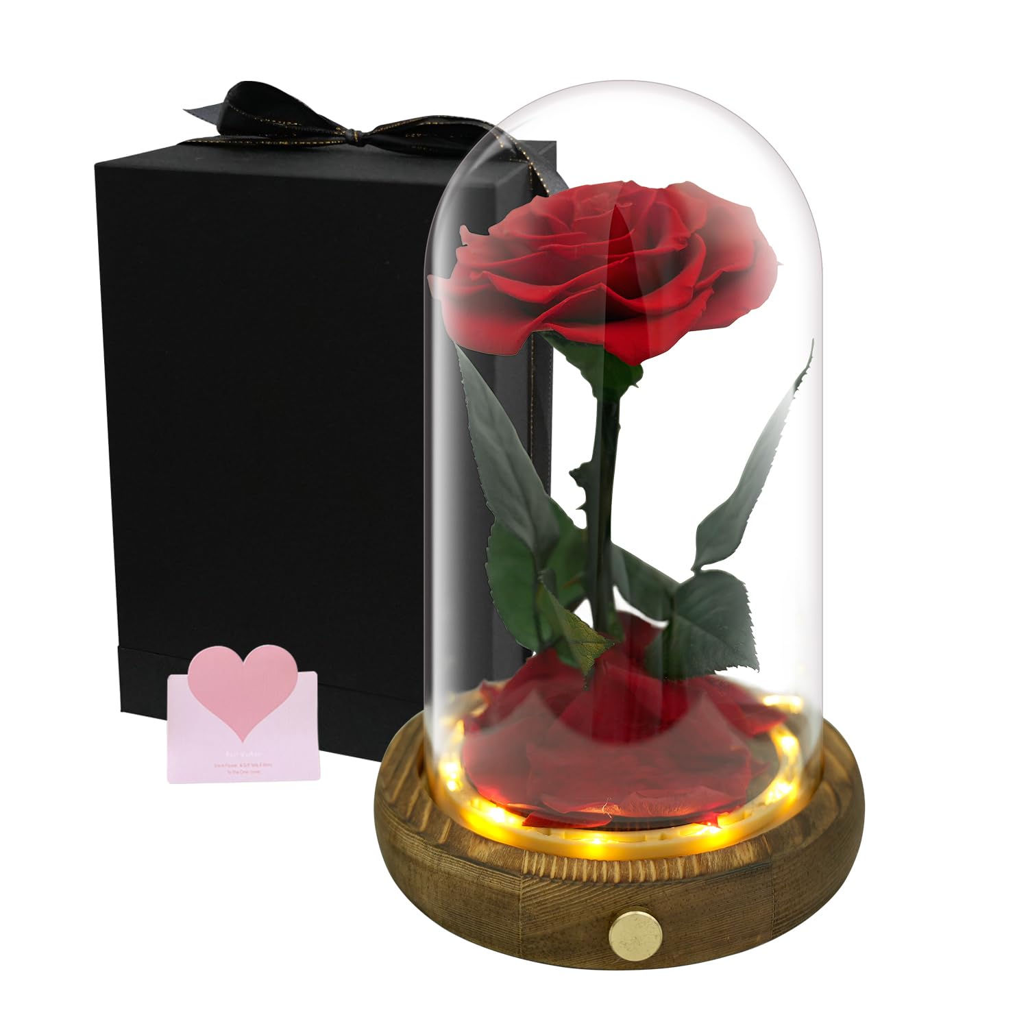 ץꥶ֥ɥե 1ؤΥХ LED饤դ ץ쥼 å Ϥʤ 饹ɡ ʪΥХ ܥå   Х쥿ǡ ꥹ...