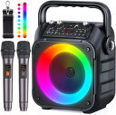 スピーカーセット カラオケ 家庭用 拡声器 カラオケマイク 2本 Bl...(3)