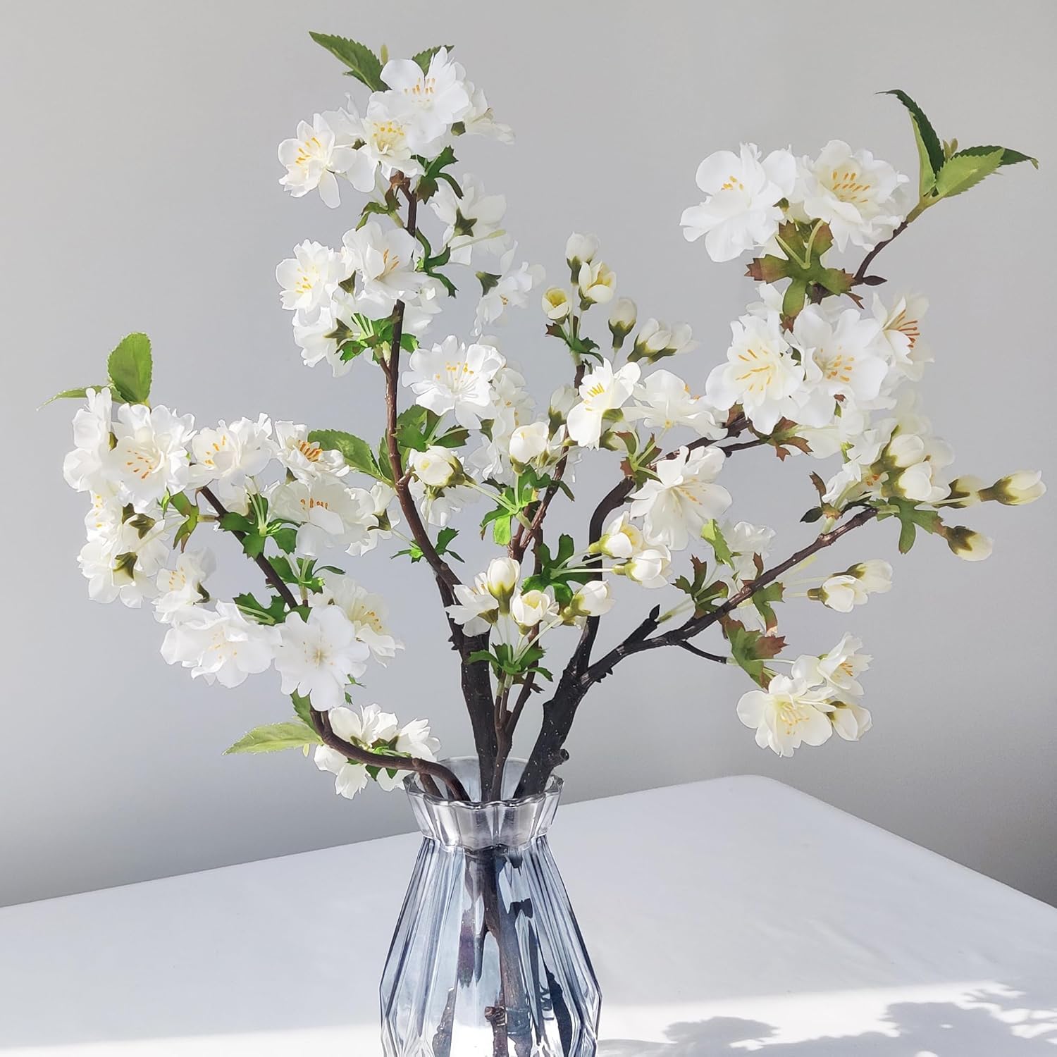 Villa Como ¤ «  եե ֡ ƥꥢ ȥե   ե꡼  ´ȼ 뺧 ǰ 3 (...