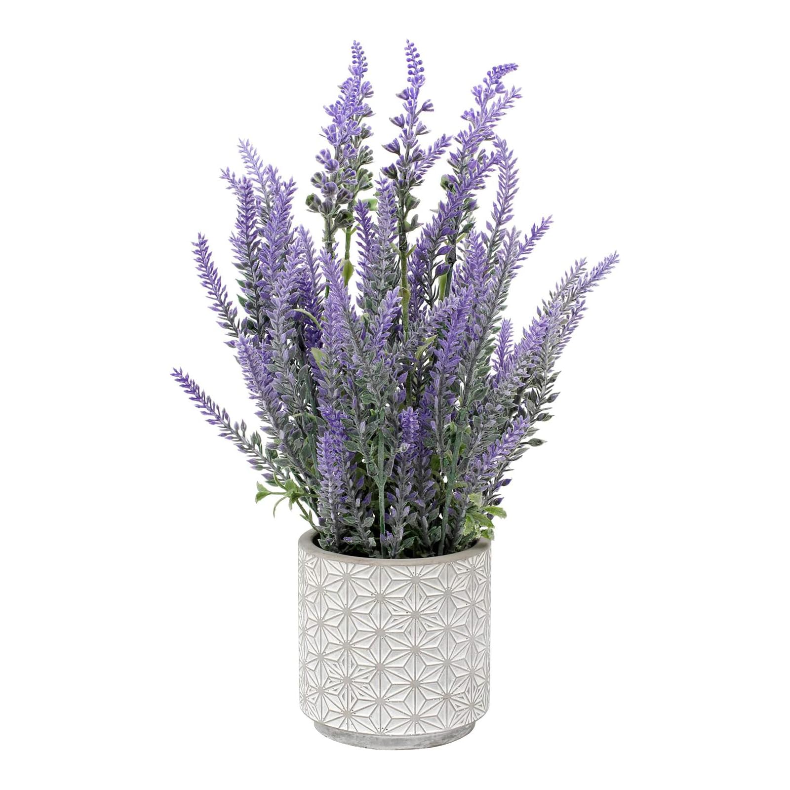 Villa Como ¤ ٥ ȭ ݥåդ ȥե « ƥꥢե ե꡼ ͹տʪ     ...