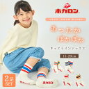 【最大20%OFFクーポン!48時間限定】ホカロン キッズ ラインソックス 2足組 靴下 あったか靴下 履くホカロン 足首つま先 パイル生地 クルー丈 15.0-20.0cm 冷え取り靴下 ルームソックス くつした 保温 冬 防寒 冷え 足元 あったかグッズ