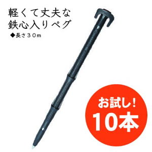 小ロット 【10本】 タイガー 『 鉄心ペグ300 』 TBP-T300 電気柵 電柵 電牧柵 フェンス ネット ワイヤーメッシュ テント タープ 資材 固定 押さえ具 止め具 柵固定 害獣 獣害 防止 樹脂 12mm 30cm キャンプ ロープ アウトドア 設営 張り 押さえ 丈夫