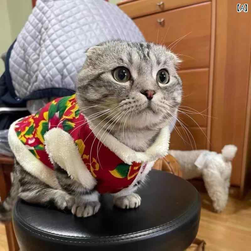   ǭ   ǯ ƥǥ  ӥåե 㥱å ѹ 硼 С ǡ ǭ ݥ˥ ڥå ...