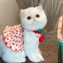 ルームウェア レディース メンズ テディ ドッグ 子犬 猫 プリンセス タンクトップ かわいい 犬 ペット 服 夏 サスペンダー スカート ビションフリーゼ