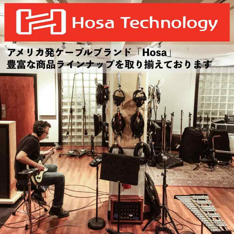 Hosa XRM-100 V[Y