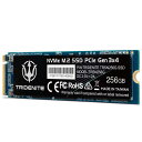 TRIDENITE SSD PCIe Gen 3.0 ~4 NVMe M.2 2280