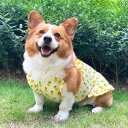 ペット 愛犬 服 犬 服 薄手 春秋服 柴犬 ビションフリーゼ 夏用 中小型 子犬 コーギー ペット ベスト