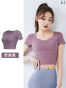 ヨガウェア ヨガパンツ ヨガ 胸 パッド 付きの 女性用 ヨガ ウェア ランニング用 半袖 Tシャツ 速乾 スポーツ トップス 夏の トレーニング スーツ フィ...