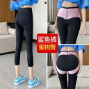 ヨガパンツ ヨガウェア パンツ 7 ポイント シャーク パンツ レディース 夏用 スリム スタイル 2025 ハイウエスト スリミング 腹部 ヒップ リフティング バービー スポーツ フィットネス ヨガ