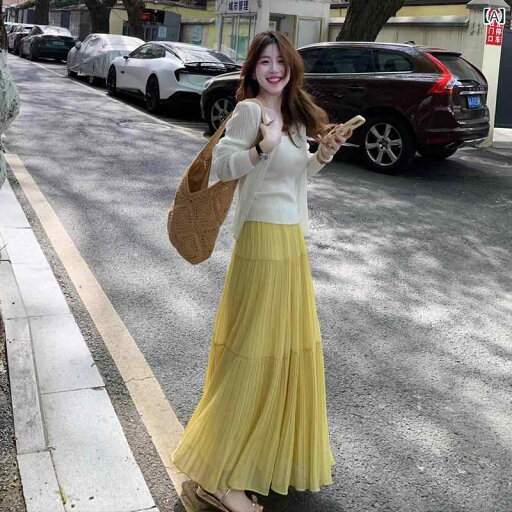 スカーフ プリーツスカート ショートスカート の 美しい プリーツ シフォンスカート 女性用 夏用 スリム 優しい スタイル プリーツスカート ドレープ ロング スカート スカーフ プリーツスカート ショートスカート の 美しい プリーツ シフォンスカート 女性用 夏用 スリム 優しい スタイル プリーツスカート ドレープ ロング スカート