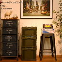 フォールディングコンテナーボックス 40L 折りたたみコンテナボックス 収納 おしゃれ 収納ボックス BOX 箱(メーカー直送、代金引き不可)