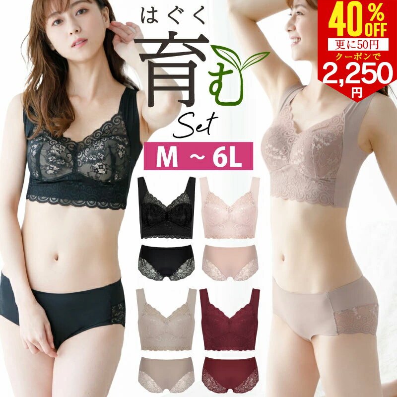 【さらに50円クーポンで2250円】ブラジャー ショーツセット 4色 ノンワイヤー ナイトブラ 育乳 脇高 バストアップ 授乳ブラ シームレス 20代 30代 40代 50代 バストアップブラ ブラジャー 上下セット 下着 ノンワイヤー マタニティ M L LL 3L 4L