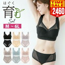 【500円OFFクーポンで2560円】ナイトブラジャー ショーツセット ノンワイヤー ナイトブラ 育乳 カップ付き バストアップ 授乳ブラ シームレス バストアップブラ 20代 30代 40代 50代 脇高ブラ ショーツ 上下セット 下着セット M L LL 3L 4L レディース 可愛い