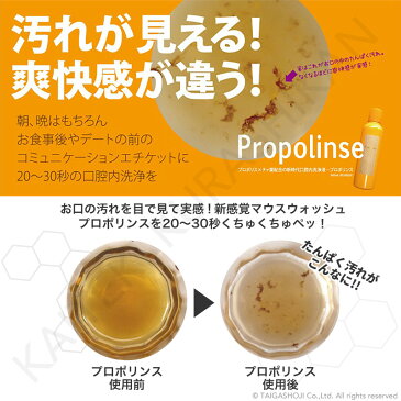 LINE限定クーポン配布中! Propolinse Re Fresh 洗口液 プロポリンス 600ml 10個セット 口内洗浄 プロポリス マウスウォッシュ 口臭予防 送料無料