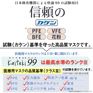 【マスク工業会正会員 日本カケン認証】【1000円ポッキリ 送料無料】100枚 血色マスク 不織布 マスク 炭 防臭 個包装 PFE・BFE・VFE・花粉99%カット 大人用 プリーツ式 使い捨て 不織布 ますく フリーサイズ ウイルス飛沫 PM2.5対応 炭マスク カラーマスク