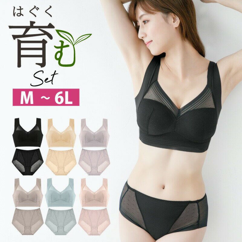 【500円OFFクーポンあり】ナイトブラジャー ショーツセッ