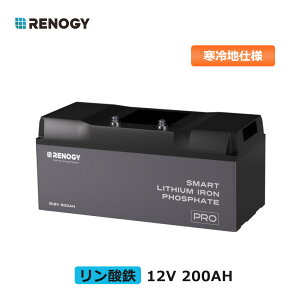 2024ʡRENOGY Ŵ ।Хåƥ꡼ 12v 200ah ϻ 2560WH   RV ԥ ХååŸ 顼Ÿ LiFePO4 եå ǥץ Ͽ ɺ к ֥Хåƥ꡼ 