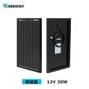 レノジー RENOGY ソーラーパネル 30W 単結晶 12V MC4コネクタータイプ 高変換効率 太陽光パネル ソーラーチャージャー