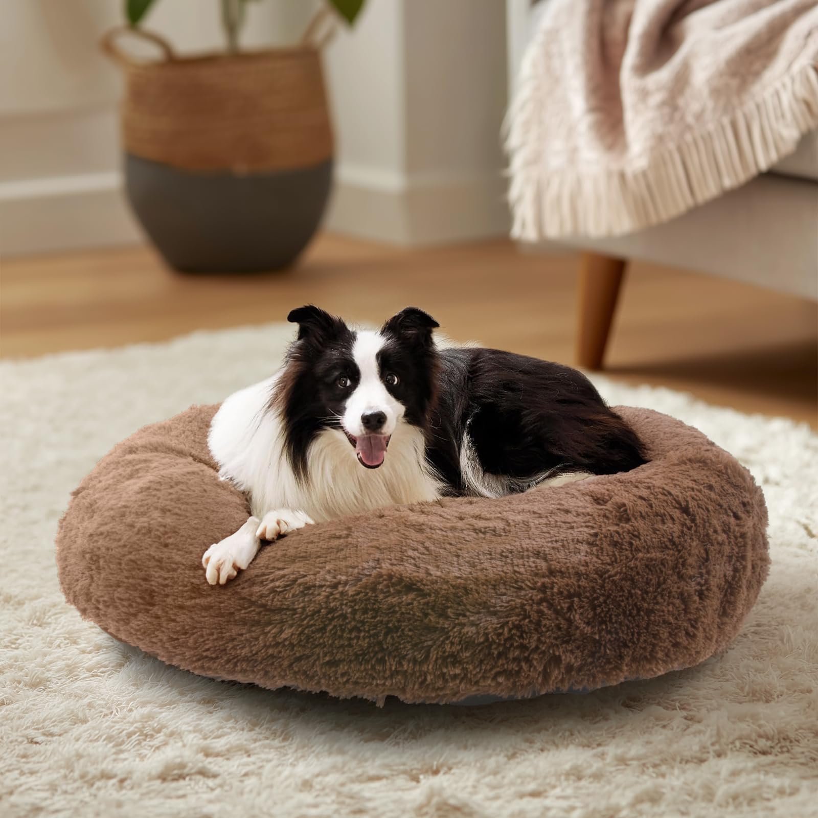 Rakuten - ジェマ 犬ベッド猫ベッド ペットベッド 秋冬用 ふわふわ 丸型 クッション ドーナツペットベッド ラウンド型 ぐっすり眠る 中大猫用