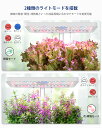 renpho:10000011のサンプル画像2