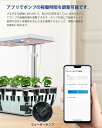 renpho:10000011のサンプル画像3