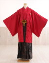 【レンタル】紋付袴レンタル 卒業式 結婚式 mo220 着物レンタル メンズ 男性着物フルセット 羽織袴 袴レンタル かっこいい おしゃれ 人気 貸衣装 kim...