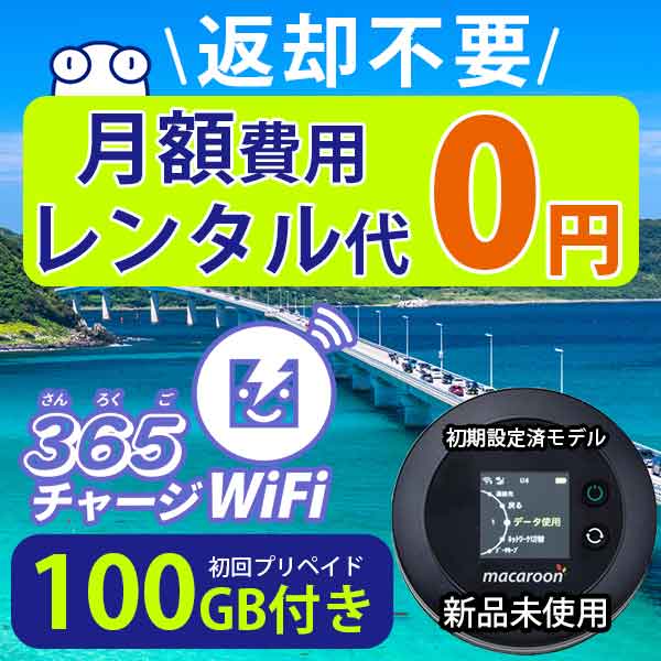 ポケットWiFi 100ギガ 【マラソンSALE20