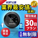 ポケットwifi 30日 無制限 最安値に挑戦 即日発送 レンタルwifi レンタルWi-Fi wifiレンタル Wi-Fiレンタル ワイファイ レンタル docomo au ソフトバンク wi-fi ワイファイ 国内 WiFi レンタル ポケットWi-Fi ポケットワイファイ 入院 旅行 1日3GB モバイルWiFi 1ヶ月
