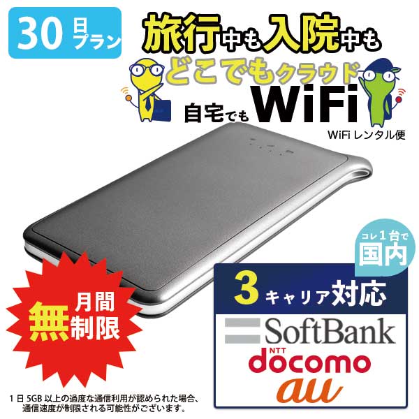 ポケットwifi レンタル 30日 無制限 即日発送 WiF