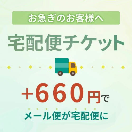 【宅配便チケット】メール便出荷商品を、宅配便で出荷するにはこちらのチケットの購入をお願いいたします。