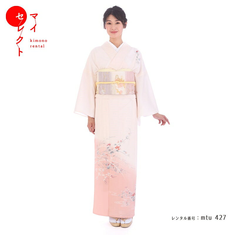 夏用 訪問着 小さめ レンタル 絽 7月 8月 9月 ピンク 小さいサイズ mtu_427 結婚式 往復送料無料 七五三 卒業式 母 20代 30代 40代 着物 お宮参り 母親 着物レンタル レトロ 訪問着レンタル 祖母 フルセット レンタル着物 貸衣装 ママ コーデ 【レンタル】