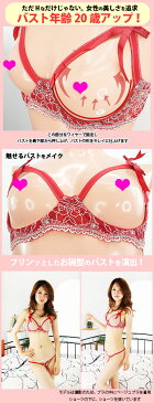 ブラ ショーツ セット 丸見えブラ 穴あきセクシーランジェリー 【メール便をご選択で 送料無料 】 「丸見え悩殺SEXYフルバスト オープン ブラ & 穴あき Tバックショーツセット フェミニンなお花のレース」 セクシー下着 オープン バスト 大きいサイズ ポイント消化