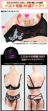 ブラ ショーツ セット 丸見えブラ 穴あきメール便をご選択で 送料無料 S M Lサイズ 丸見え悩殺SEXYフルバスト オープン ブラ & ガーターベルト付き穴あきショーツセット キュートフラワー」 オープン バスト 大きいサイズ ポイント消化