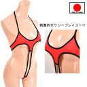店内全品 ポイント10倍! 【メール便をご選択で 送料無料 】テディー ランジェリー 「 刺激的でセクシー プレイスーツ 」 レース ボンテージ セクシー レオ...