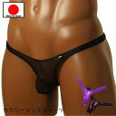 今だけポイント20倍 ! 【メール便をご選択で 送料無料 】 セクシーランジェリー「M・L・LL サイズ キラキラスパーク メンズ Tバック ショーツ セクシー...